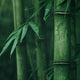 Bamboo: Sustainable material or not