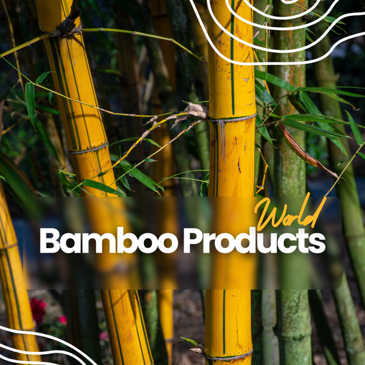 What Products are Made from Bamboo