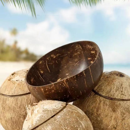 Coconut Shell Bowl