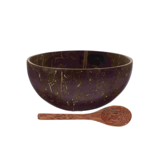 Coconut Shell Bowl