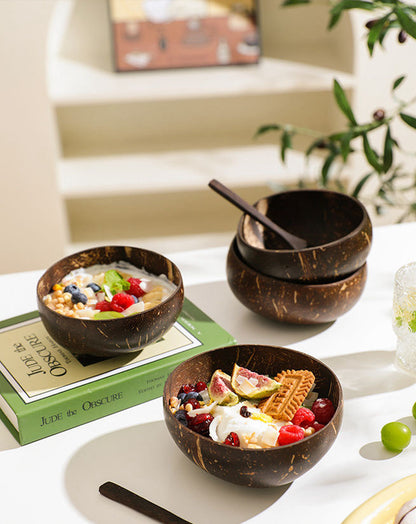 Coconut Shell Bowl